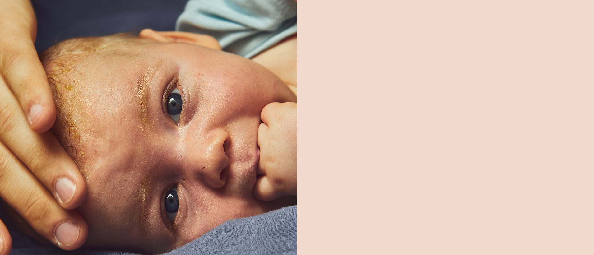 Mustela Bebé Artículos de aseo y cuidado del bebé Azul - 7262790